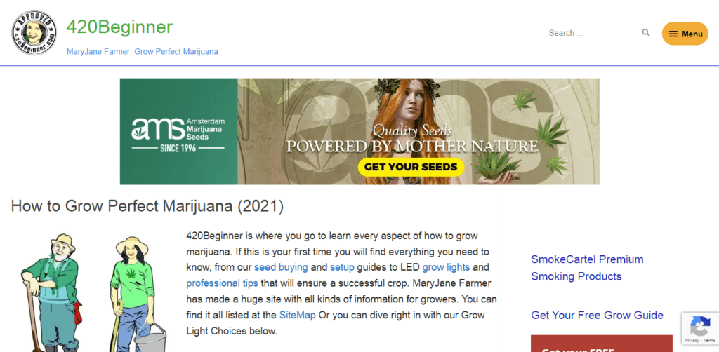 420 Beginner